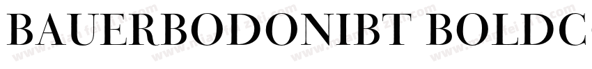 BauerBodoniBT BoldCo字体转换